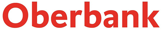 Primary Raster logo